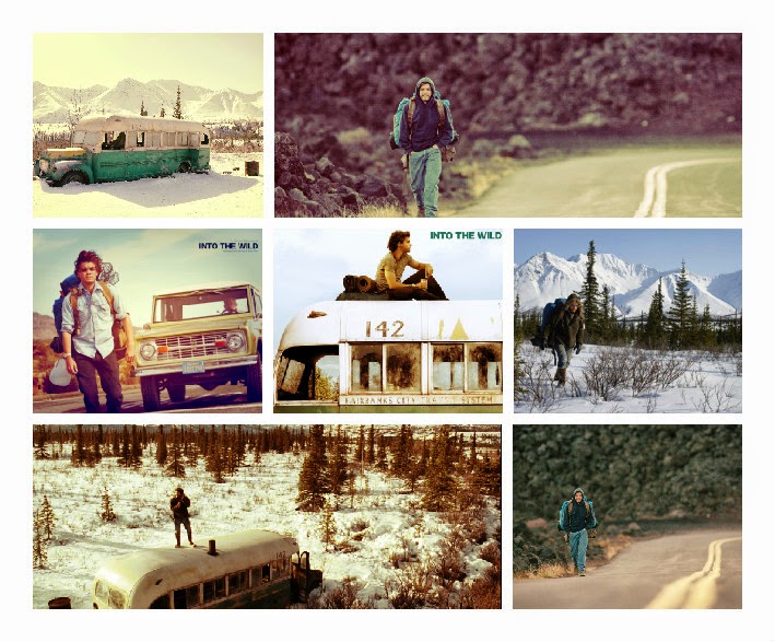 Into the Wild